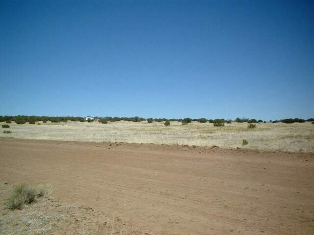 Southeast Corner of Acreage